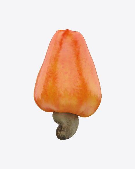 Cashew Fruit PNG