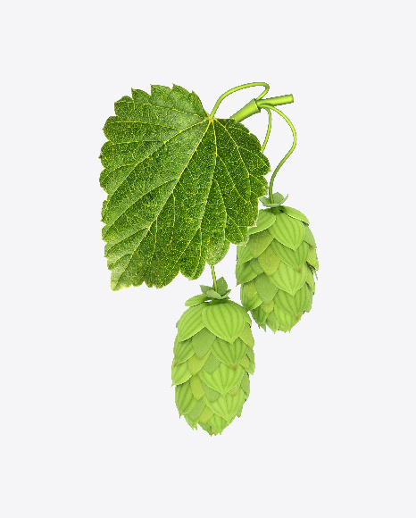 Hops PNG