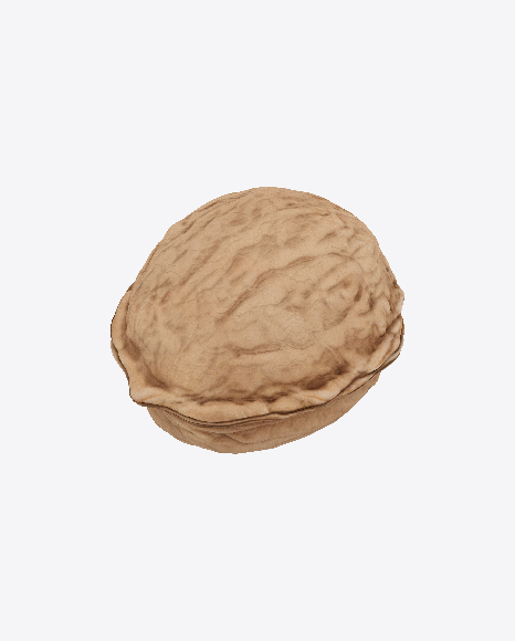 Walnut PNG