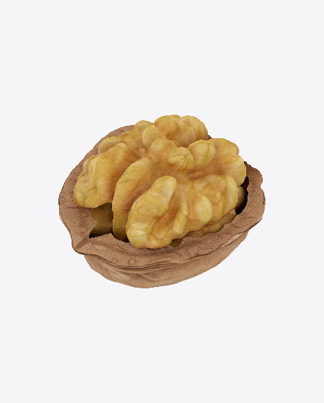 Walnut in Shell PNG