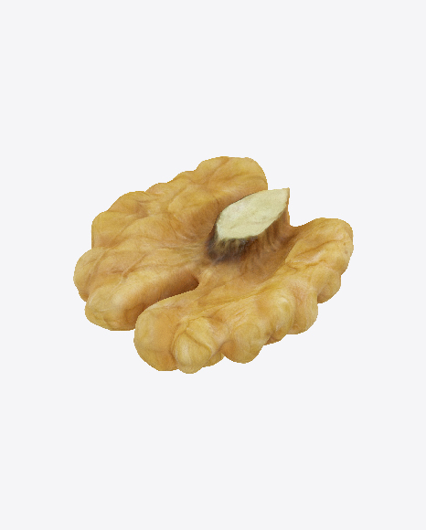 Walnut Half PNG