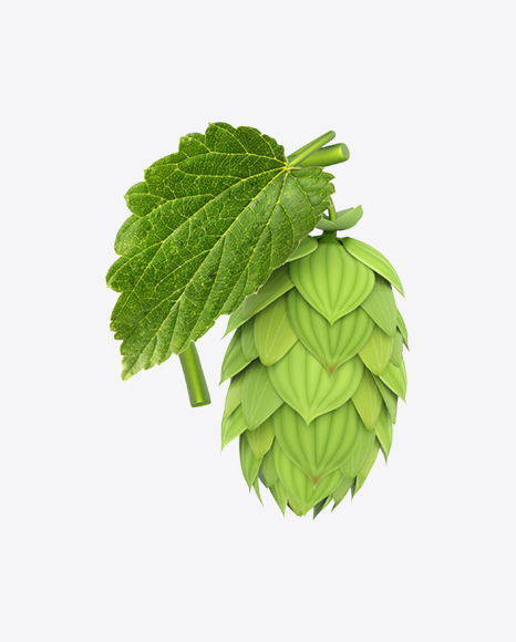Hop PNG