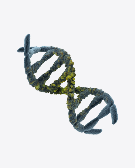 DNA Helix with Flaw