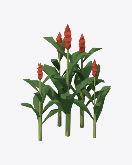 Low Poly Flowers PNG