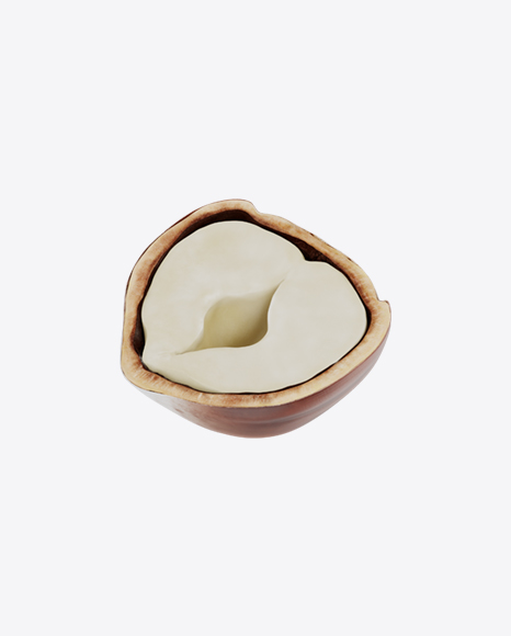 Hazelnut Half in Shell PNG