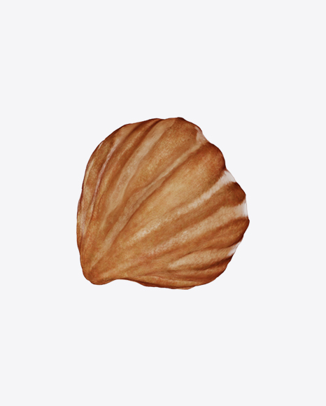 Hazelnut PNG