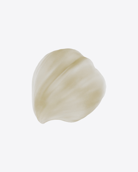 Hazelnut PNG