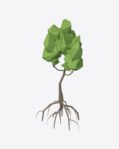 Low Poly Mangrove Tree PNG