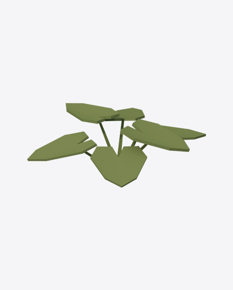 Low Poly Fern PNG