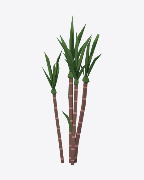 Low Poly Sugarcane PNG
