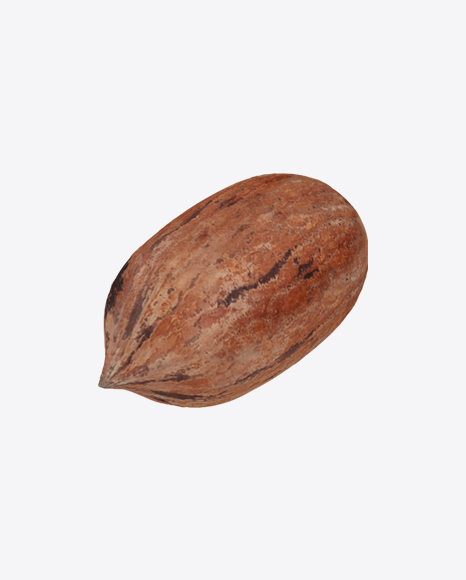 Pecan Shell