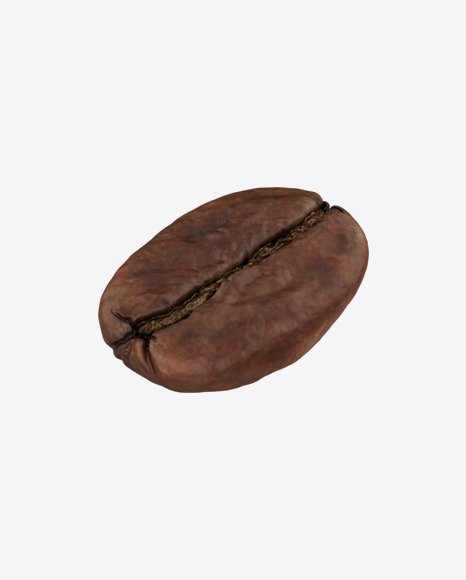 Coffee Bean