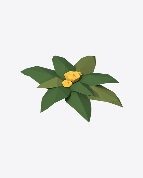 Low Poly Flower PNG