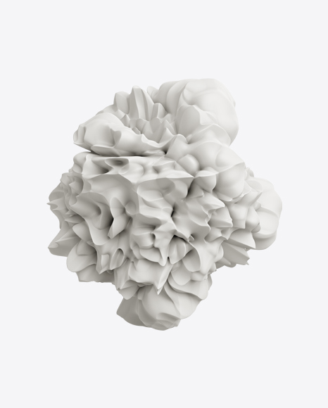 Abstract Form