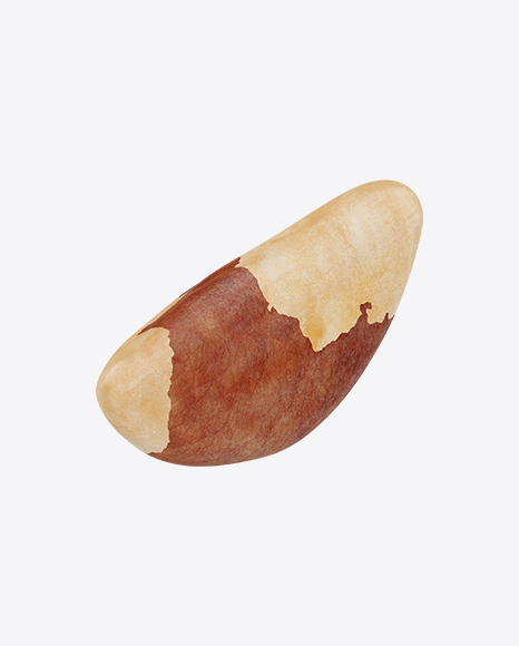 Brazil Nut PNG