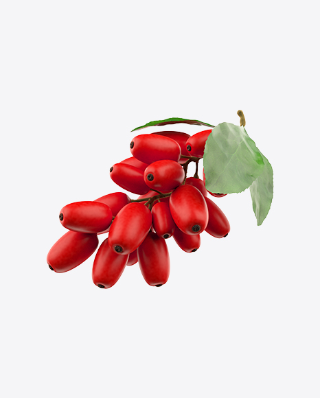 Barberries with Leaves PNG