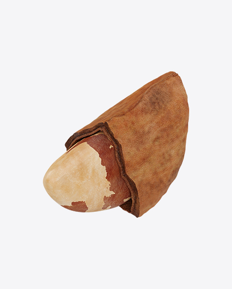 Brazil Nut in Shell PNG