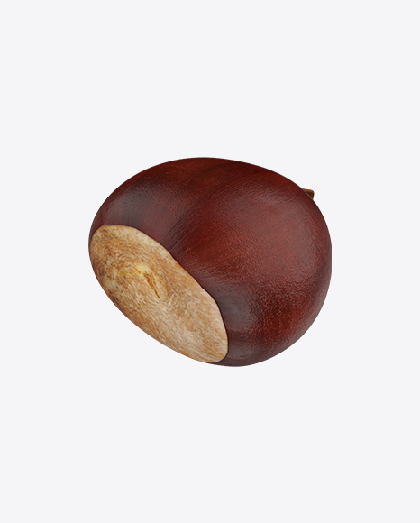 Chestnut PNG