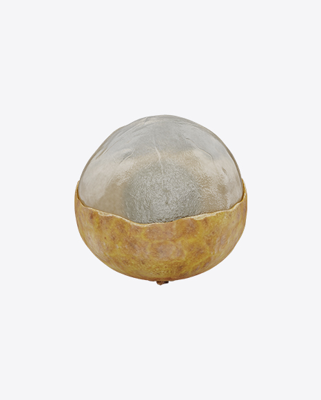 Longan in Shell PNG