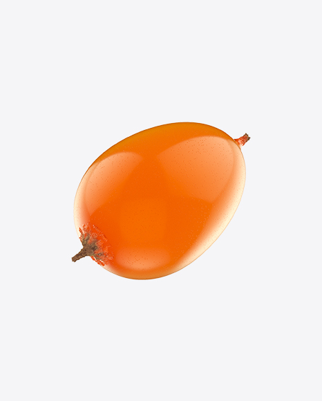 Sea Buckthorn PNG