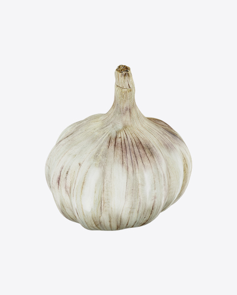 Head of Garlic PNG