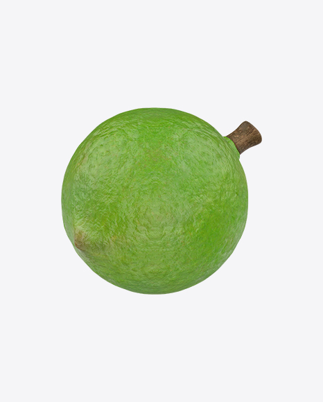 Macadamia PNG