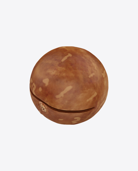 Macadamia PNG