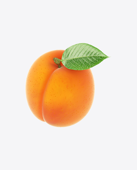 Apricot