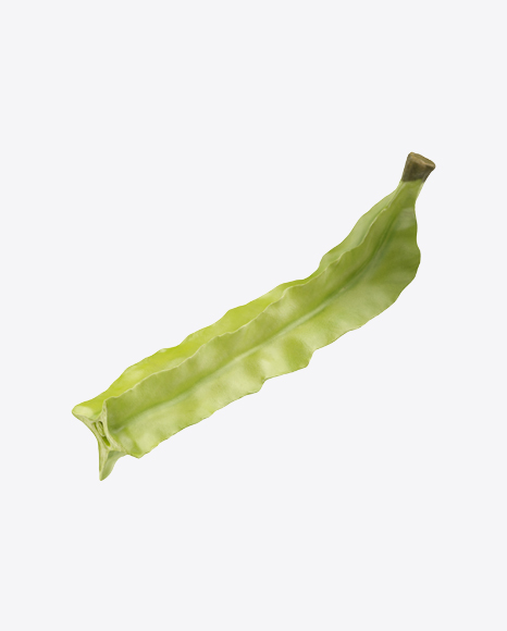 Half of Winged Bean