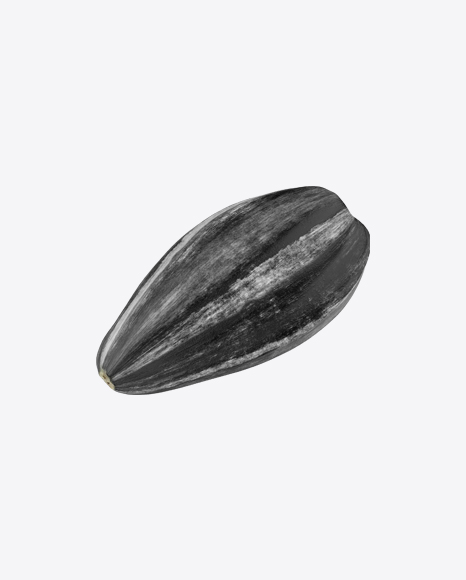 Sunflower Seed
