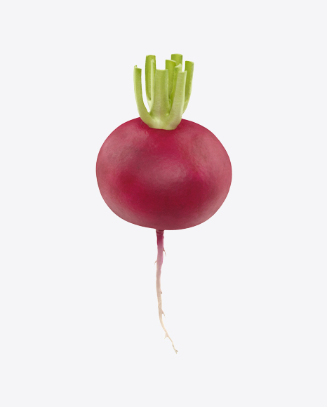 Red Radish