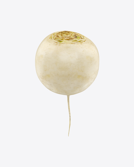 White Radish