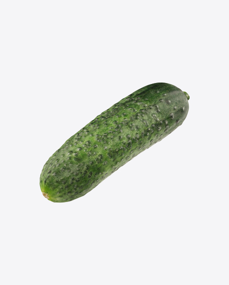 Cucumber