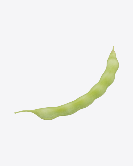 Kidney Bean Pod