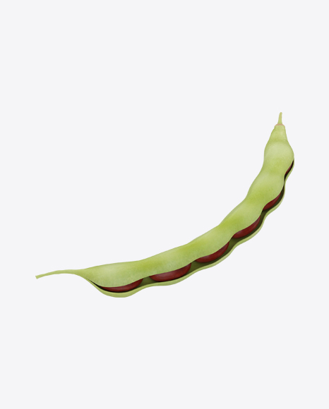 Half Opened Kidney Bean Pod
