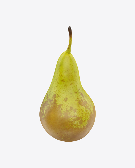 Conference Pear