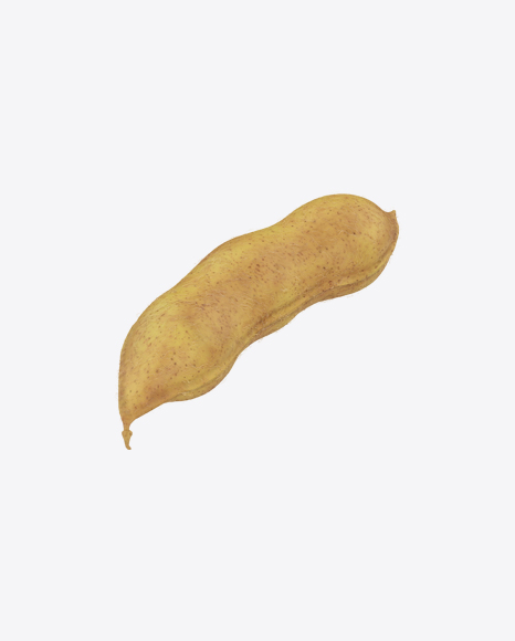 Soybean Pod