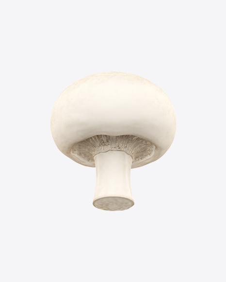 Champignon