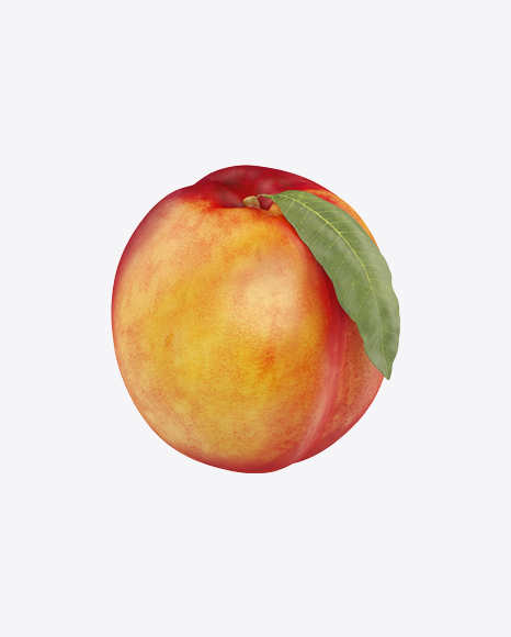 Nectarine with Leaf