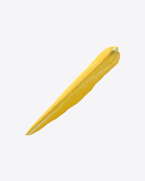 Yellow Carrot Slice