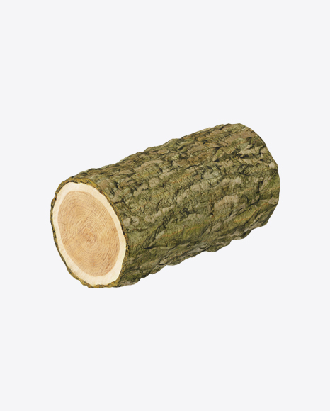 Pine Log