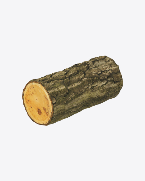Maple Log
