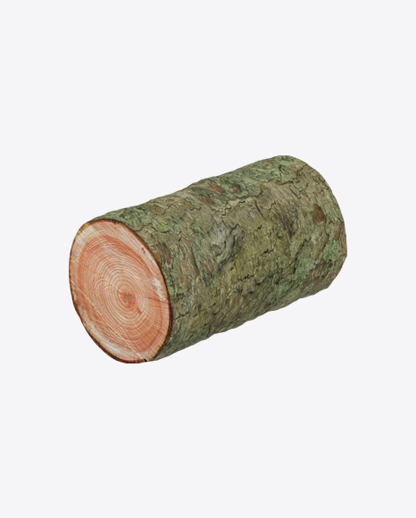 Larch Log