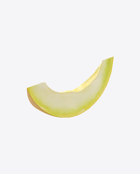 Melon Slice