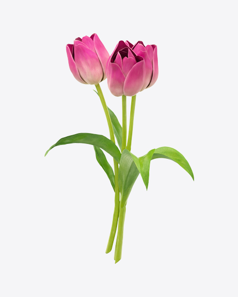 Pink Tulip Bouquet