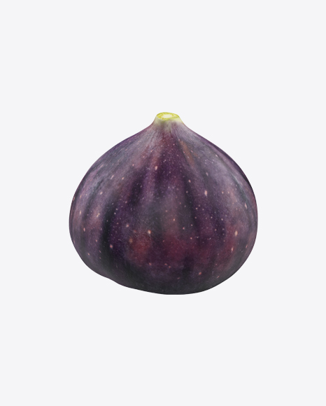 Fig