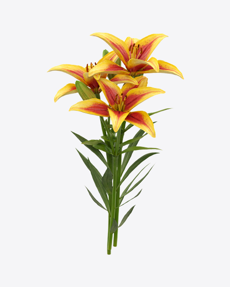 Lily Bouquet