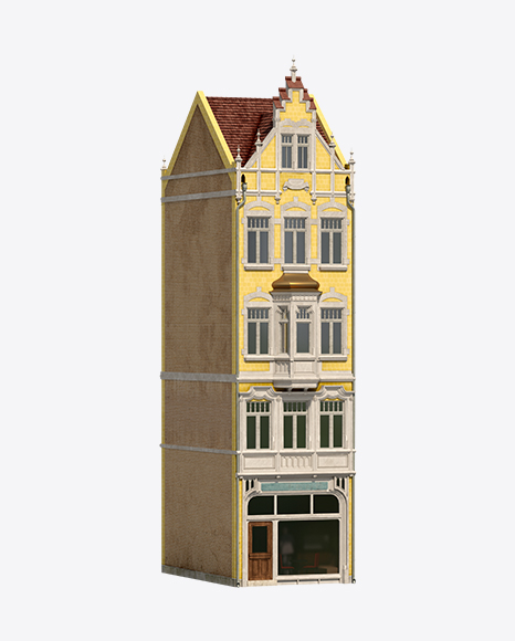 Dutch Building