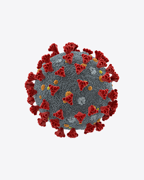 Coronavirus Virion