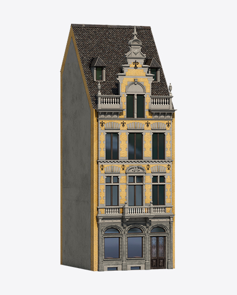 Dutch Building